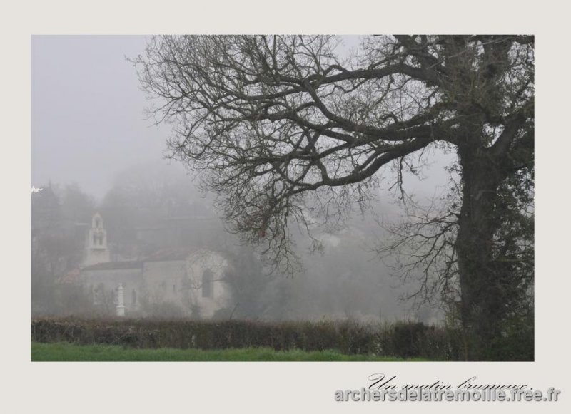YVE_2108 (800x519)